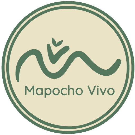 Ir a Mapocho Vivo